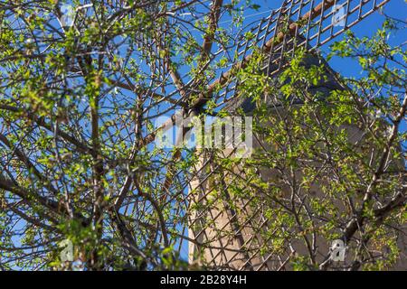 Mulino a vento tradizionale e storico Sa Planeta, Molí de Sa Planeta, nella città di Andratx, Maiorca, Isole Baleari, Spagna, Europa Foto Stock