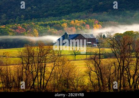 Morning Mist nella valle agricola di Kishacoquillas nella contea di Mifflin, Pennsylvania Foto Stock