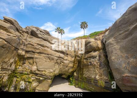 Formazioni rocciose a Windansea Beach nel pomeriggio invernale. La Jolla, California, Stati Uniti. Foto Stock