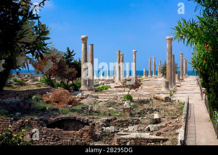 Colonnato del tempio romano sulla strada dei mosaici, vicino al Mar Mediterraneo, Tiro (Sour), Libano, Medio Oriente. Patrimonio Dell'Umanità Dell'Unesco Foto Stock