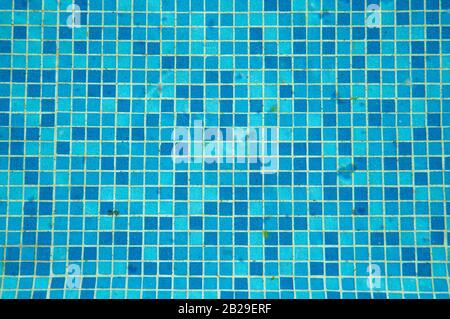 Dettaglio della piscina coperta con piastrelle a mosaico blu Foto Stock