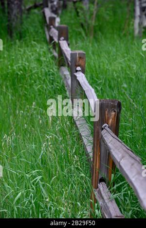 Fence Della Ferrovia Spaccata Attraverso Tall Grass Nelle Montagne Del Colorado Foto Stock