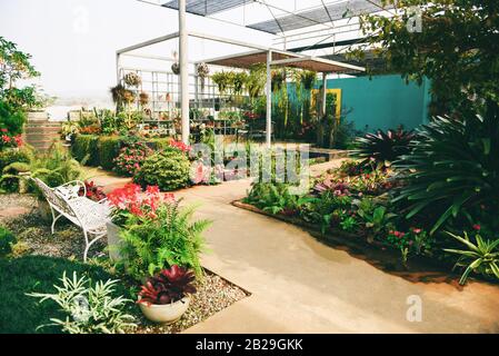 Home giardinaggio e decorazione interni serra ambienti setup fiori e piante / Relax in bel giardino con Sedie casa esterna Foto Stock