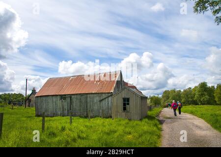 Passeggiando attraverso Anagach Woods nelle Highlands scozzesi da Grantown on Spey, Highlands, Scozia Foto Stock