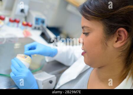 donna fare la dentiera con lo strumento Foto Stock
