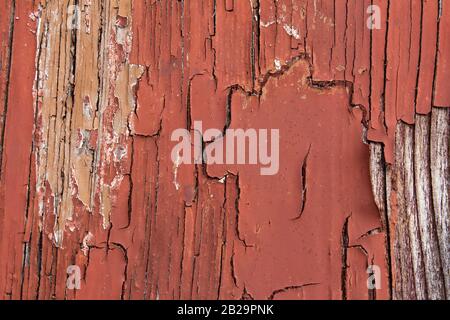 Tessitura di legno vecchio con vernice cracked rossa che si stacca Foto Stock