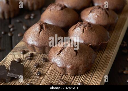Un gruppo di muffin al cioccolato fatti in casa su un pannello di legno con chicchi di caffè e pezzi di cioccolato. Sfondo di legno scuro, primo piano, fuoco selettivo Foto Stock