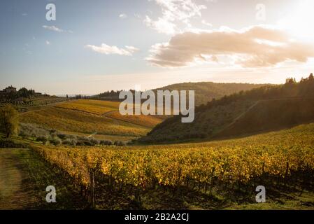 Vista panoramica Dei Vigneti del chianti in autunno vicino alla piccola e famosa città di Radda in Chianti Foto Stock