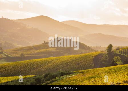 Vista panoramica Dei Vigneti del chianti in autunno vicino alla piccola e famosa città di Radda in Chianti Foto Stock