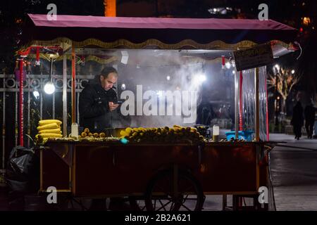 Venditore di strada che vende castagne arrosto e mais dolce da una stalla di notte, Istanbul, Turchia. Foto Stock