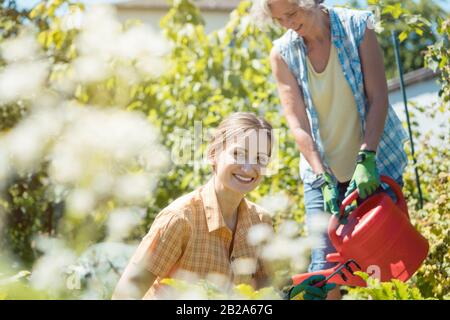 Senior e giovane donna insieme di giardinaggio Foto Stock