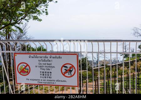 Segnale di avvertimento turisti a non nutrire o prendere le scimmie come mordono, in tailandese, inglese, cinese e russo, Thailandia Foto Stock