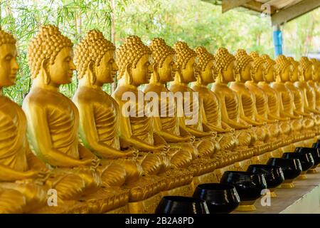 Fila di statue di Buddha d'oro, presso il Grande Buddha, Thailandia Foto Stock