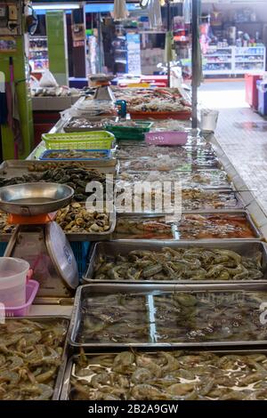 Frutti di mare, tra cui gamberi, gamberetti, vongole, lumache di mare, calamari, polpo e cozze con cippi verdi, in vendita presso una stalla di mercato alimentare tailandese del fishonger, Thailandia Foto Stock