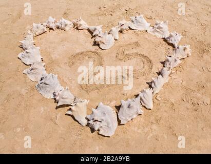 Karko conchiglie sdraiate a forma di cuore sulla spiaggia con il numero 25 Foto Stock