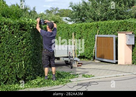 L'uomo sta tagliando una siepe con un tagliasiepi Foto Stock