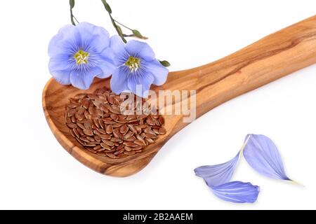 Fiori di Linum, semi di lino su cucchiaio di legno Foto Stock