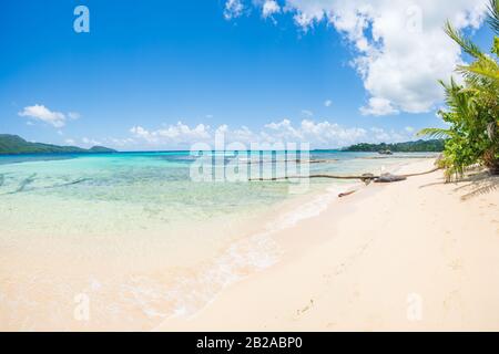 Bella spiaggia tropicale di sabbia bianca a Rincon, giornata di sole nella penisola di Samana, Repubblica Dominicana Foto Stock