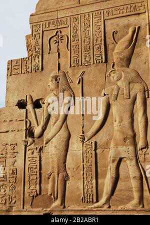 Antichi geroglifici egiziani all'interno del tempio di Kom Ombo. Egitto Foto Stock