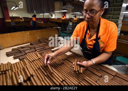 L'Avana, Cuba. 27th Feb, 2020. Un produttore di sigari controlla la qualità dei sigari in una fabbrica di la Corona a l'Avana, Cuba, 27 febbraio 2020. Per ANDARE CON 'Caratteristica: Sigari rolling diventa tradizione di famiglia in Cuba' credito: Joaquin Hernandez/Xinhua/Alamy Live News Foto Stock