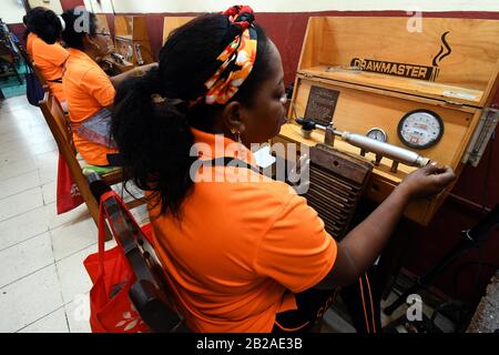 L'Avana, Cuba. 27th Feb, 2020. Un produttore di sigari controlla la qualità dei sigari in una fabbrica di la Corona a l'Avana, Cuba, 27 febbraio 2020. Per ANDARE CON 'Caratteristica: Sigari rolling diventa tradizione di famiglia in Cuba' credito: Joaquin Hernandez/Xinhua/Alamy Live News Foto Stock