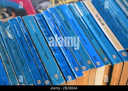 Libri cartacei senza finzione Blue Penguin Pelican Foto Stock