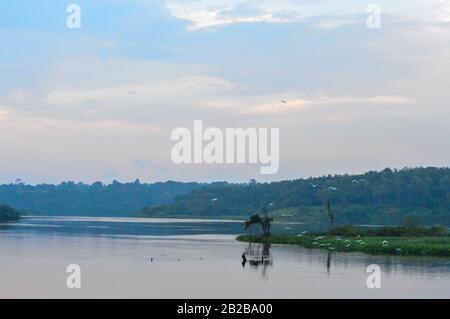 Il Nilo Bianco vicino alla sua sorgente del Lago Victoria vicino a Jinja, Uganda Foto Stock