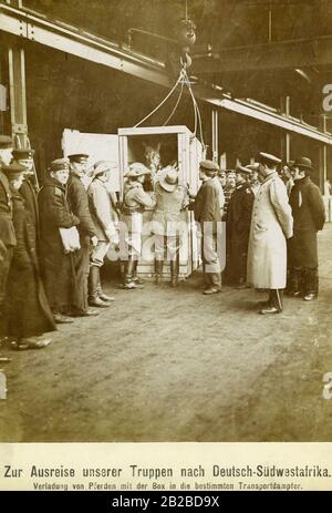 Partenza delle truppe coloniali tedesche verso il Sudafrica tedesco, dove il nativo Herero iniziò una lotta contro i funzionari coloniali tedeschi. Nella foto un cavallo in una scatola è caricato su un vaporiera di trasporto. Foto Stock