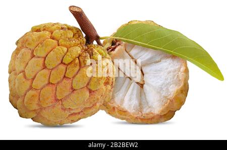 Annona o anone isolati su sfondo bianco Foto Stock