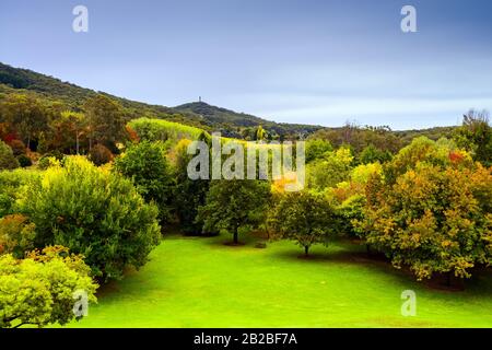 Il giardino botanico del Monte Lofty durante la stagione autunnale, Crafers, Australia del Sud Foto Stock