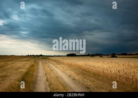 Un giorno tempestoso nella Polonia orientale, una strada sterrata e campi Foto Stock