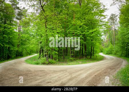 Una svolta brusca sulla strada nella foresta verde Foto Stock