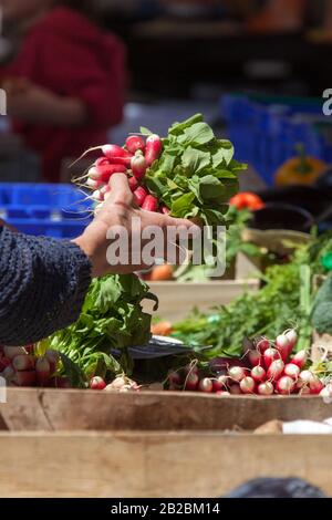 Città Di Concarneau, Francia. Vista pittoresca dei prodotti freschi in vendita al mercato di Concarneau, che si tiene a Place Jean Jaures. Foto Stock