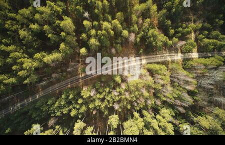 Strada stretta nel parco sopra la cima drone vista in alba luce Foto Stock