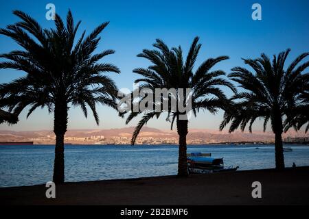 Aqaba, GIORDANIA - 31 GENNAIO 2020: Barca di vetro è in attesa di turisti, città spiaggia ombre.Palm silhouette.Sunrise paesaggio di Egitto e Israele, inverno cielo chiaro.Mar Rosso golfo, Regno hascemita di Giordania Foto Stock