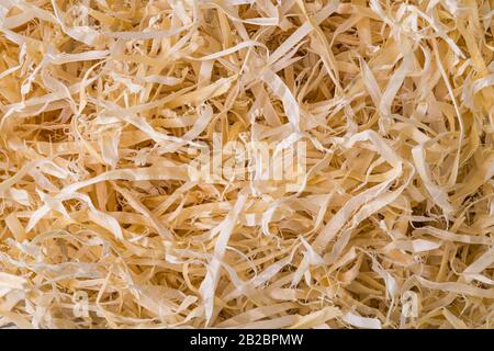 Trucioli di legno astratto sfondo. Segatura di legno nel dettaglio di tessitura. Strisce lunghe e sottili per la chiusura dei rifiuti della lavorazione del legno aggrovigliati sul palo. Falegnameria, Falegnameria. Foto Stock