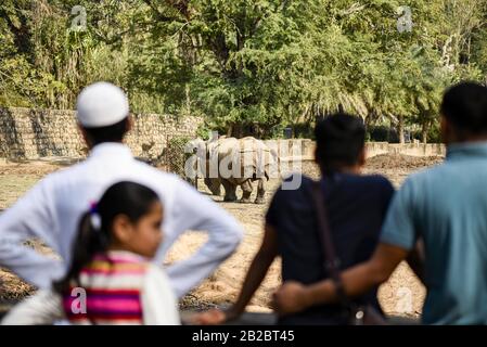 Guwahati, Assam, India. 2nd Mar, 2020. I visitatori guardano i rinoceronti a un'ora come lo Zoo di Stato di Assam a Guwahati. La Giornata mondiale della fauna selvatica è celebrata il 3 marzo. Quest'anno il tema Sta Sostenendo tutta la vita sulla Terra. Credit: David Talukdar/Zuma Wire/Alamy Live News Foto Stock