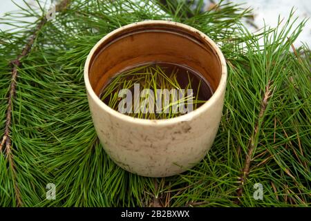 Tazza di tè nero con aghi di pino in esso su aghi verdi sfondo vista laterale. Bevanda salutare tè in tazza vecchia. Foto Stock