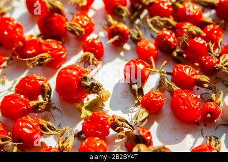 Molti fianchi di rosa sono asciugati nel macro sole vicino. Bacche di vitamina naturali sane per il tè. Antiossidante medico naturale Foto Stock