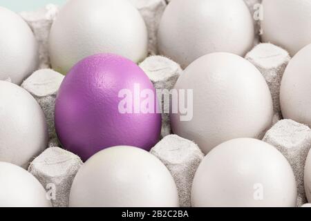 Un uovo di Pasqua rosso, viola o rosa spicca tra quelli bianchi, in una scatola da vicino, simbolo di individualità. Concetto per Pasqua. Foto Stock