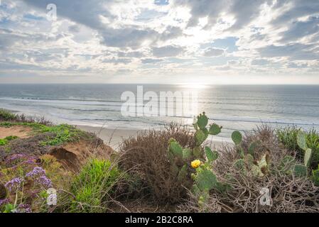 Vista sulla spiaggia di Torrey Pines state Beach nel pomeriggio invernale. La Jolla, California, Stati Uniti. Foto Stock