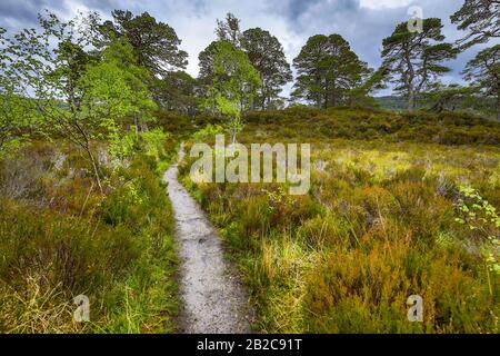 Bellissimo paesaggio panoramico di incredibile natura scozzese e strada di montagna. Foto Stock