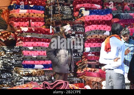 Le celebrazioni principali in India includono Holi, Id, Natale, Diwali, Pushkar Mela, Ganapati, Navaratri, Kumbh Mela, Repubblica giorno, Pongal, Onam, Surajku. Foto Stock