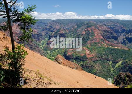 Kauai / Hawaii: Waimea Canyon state Park (conosciuto anche come Grand Canyon del Pacifico) Foto Stock