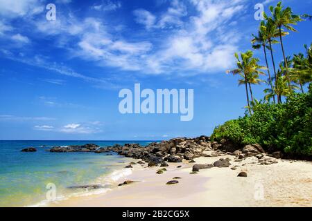 Oahu, Hawaii: Spiaggia di Laniakea (chiamata anche Turtle Beach) vicino Haleiwa Foto Stock