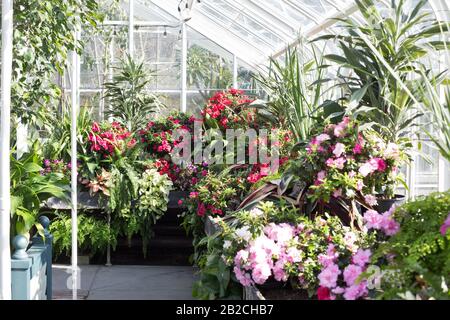 Volunteer Park Conservatory a Seattle, Washington, Stati Uniti d'America. Foto Stock