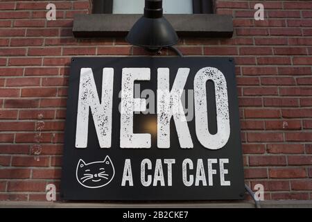 Neko A Cat Cafe a Seattle, Washington, Stati Uniti. Foto Stock