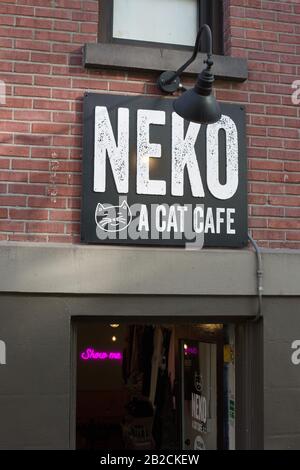 Neko A Cat Cafe a Seattle, Washington, Stati Uniti. Foto Stock