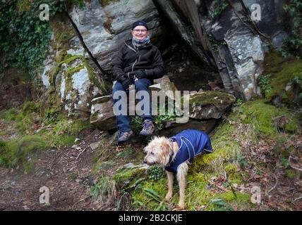 Uomo E Cane A Rineen Woods Vicino A Leap, West Cork Irlanda Foto Stock