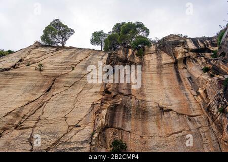 Penteli, Grecia - 1 maggio 2019: Il giovane uomo sale su un muro roccioso nella grotta di Davelis a Penteli, una montagna a nord di Atene, Grecia. Foto Stock